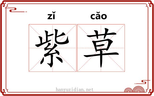 紫草 紫草