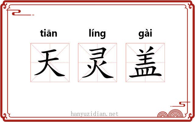 天灵盖 天灵盖