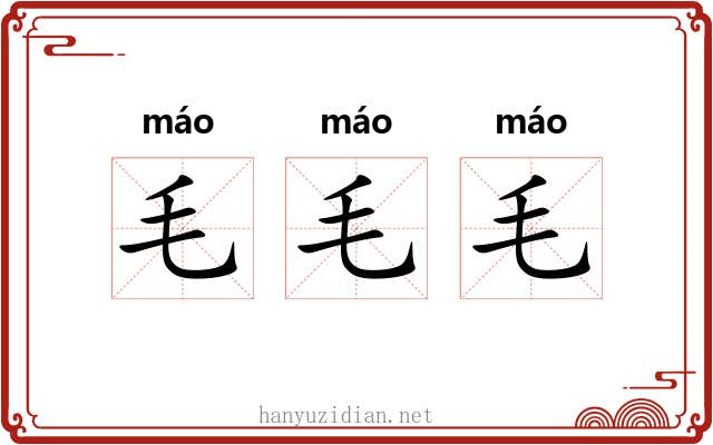 毛毛毛 毛毛毛