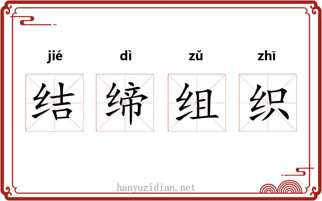 结缔组织 结缔组织