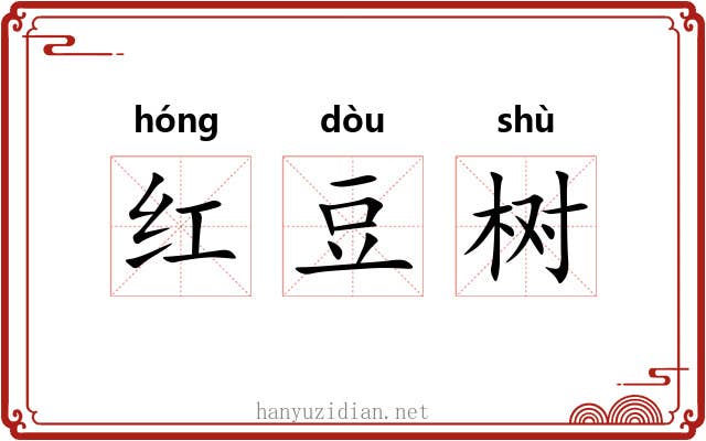 红豆树 红豆树