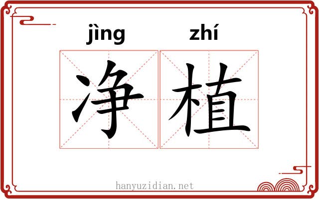 净植 净植