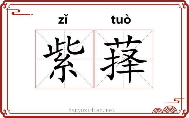 紫萚