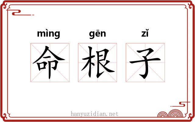 命根子 命根子