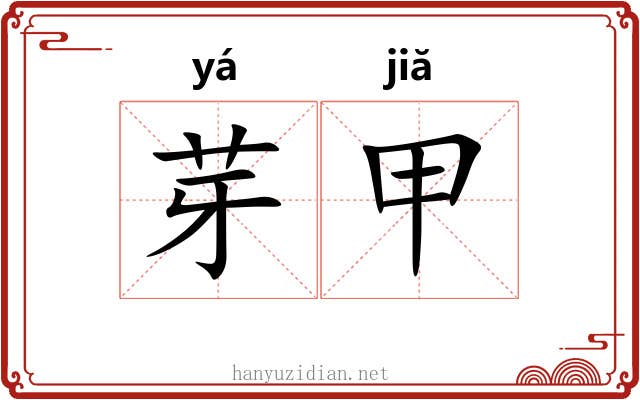 芽甲 芽甲