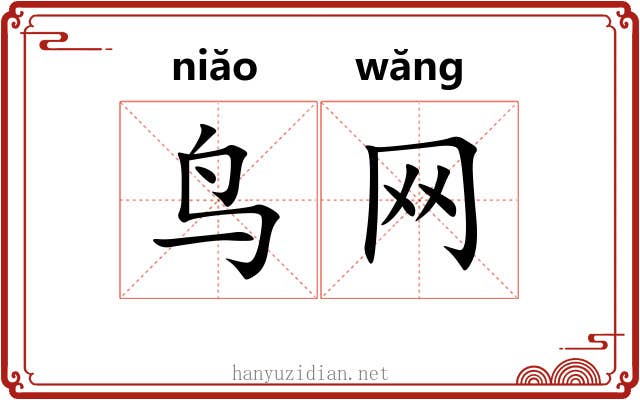 鸟网