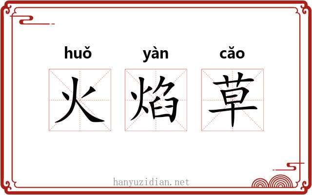 火焰草 火焰草