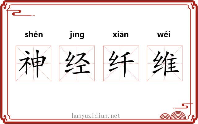 神经纤维