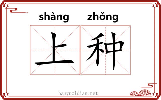 上种 上种