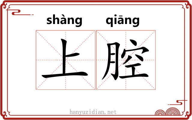 上腔 上腔
