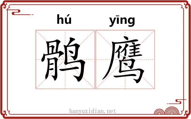 鹘鹰