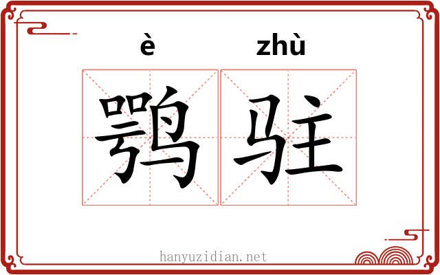 鹗驻