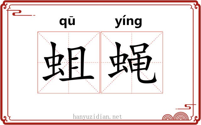 蛆蝇
