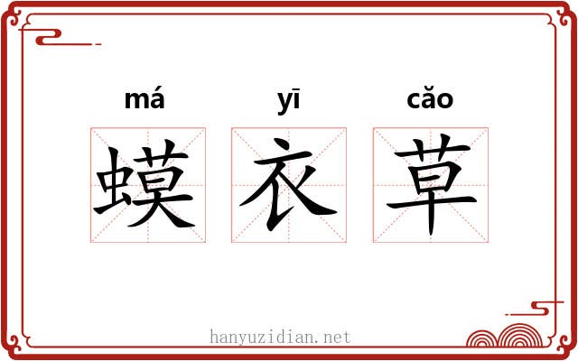 蟆衣草
