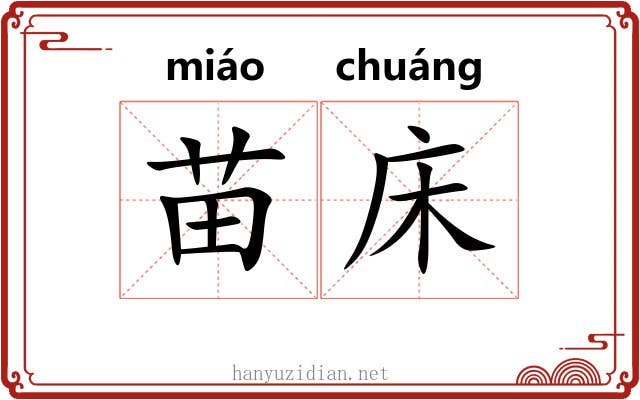 苗床 苗床