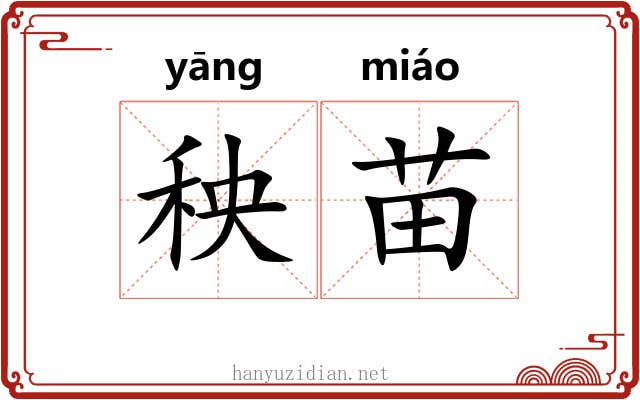 秧苗