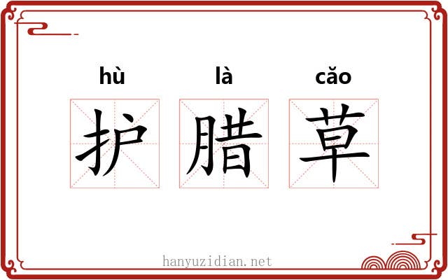 护腊草