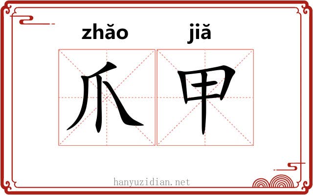 爪甲 爪甲
