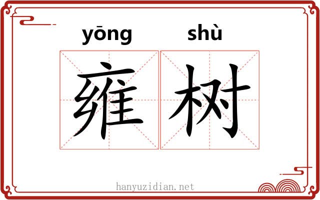 雍树