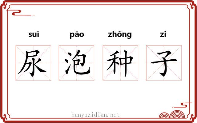 尿泡种子 尿泡种子