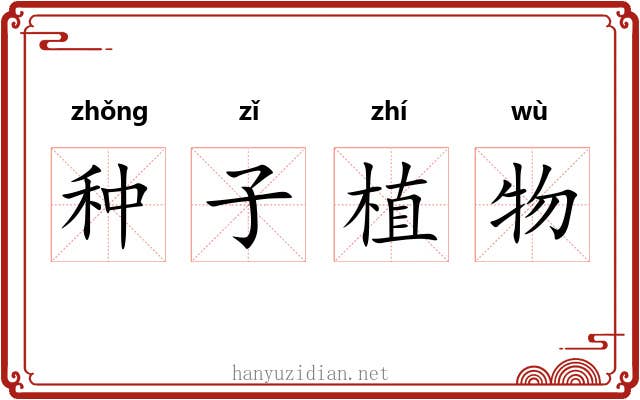 种子植物 种子植物