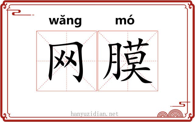 网膜