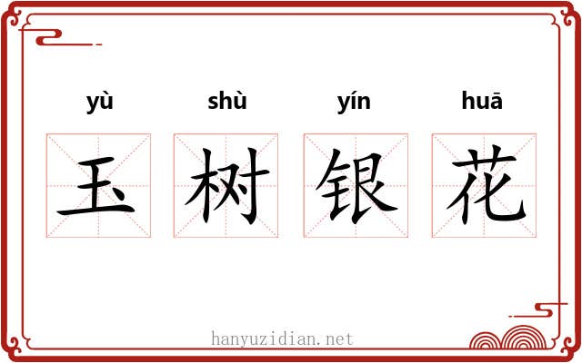 玉树银花 玉树银花