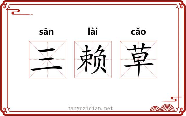 三赖草 三赖草