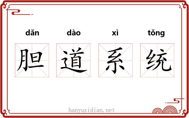 胆道系统 胆道系统