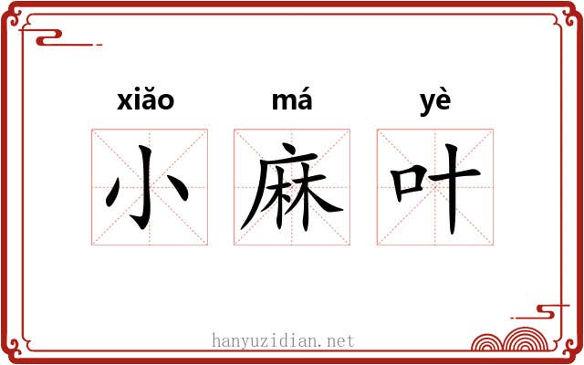 小麻叶
