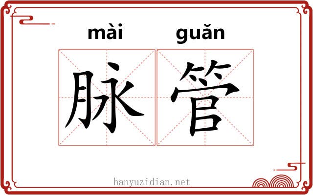 脉管 脉管