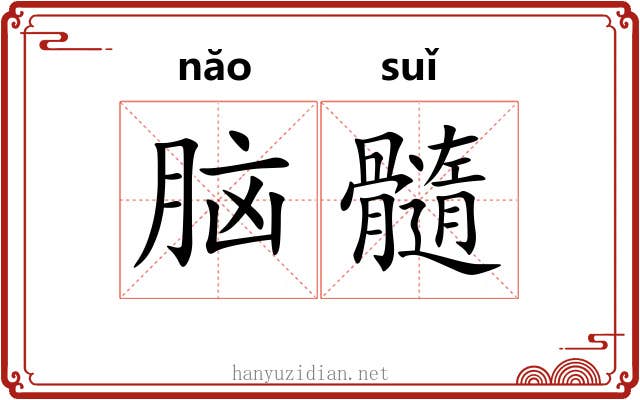 脑髓