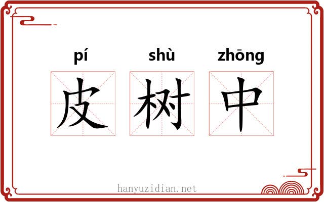 皮树中 皮树中