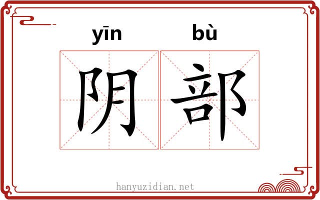 阴部 阴部