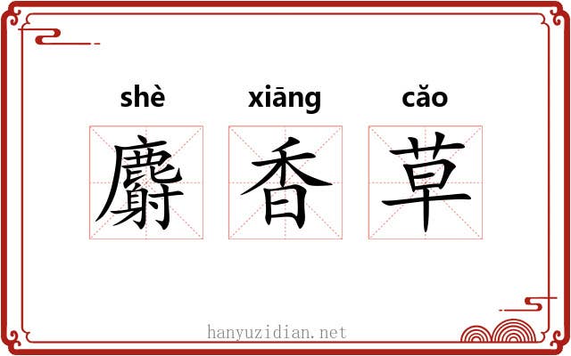 麝香草
