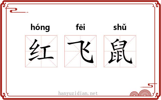 红飞鼠