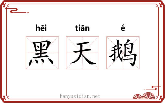 黑天鹅