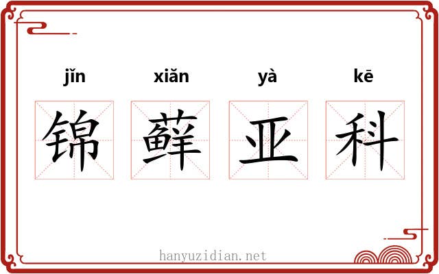 锦藓亚科 锦藓亚科