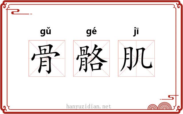 骨骼肌