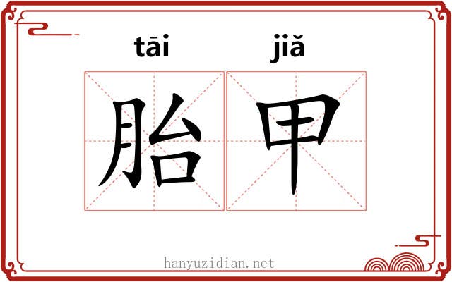 胎甲 胎甲