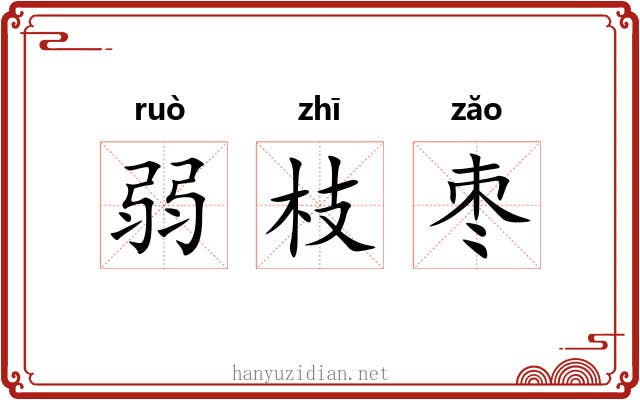 弱枝枣