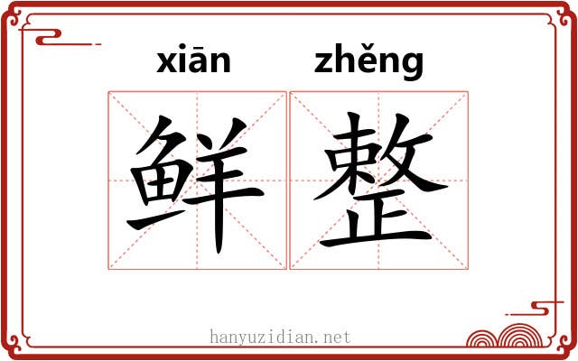鲜整 鲜整