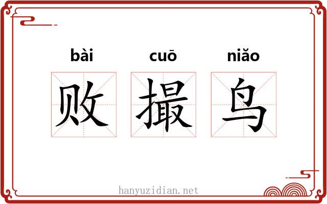 败撮鸟
