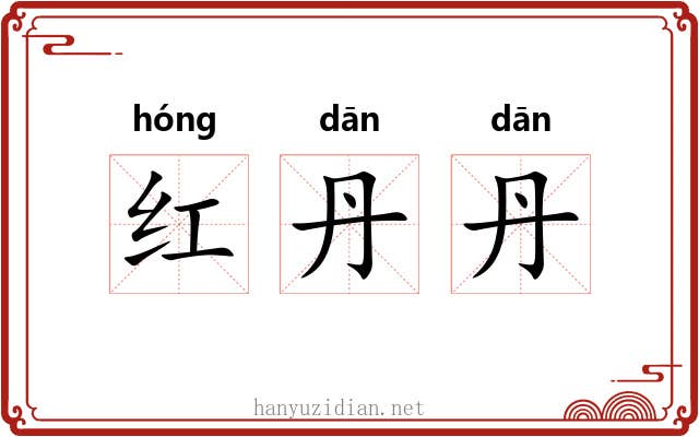 红丹丹 红丹丹