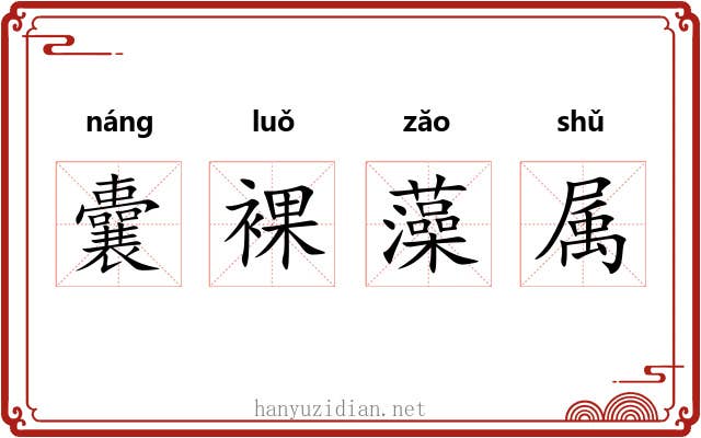 囊裸藻属 囊裸藻属