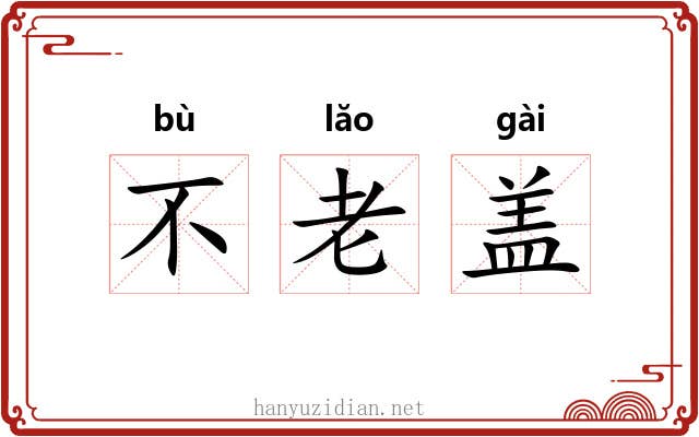 不老盖 不老盖