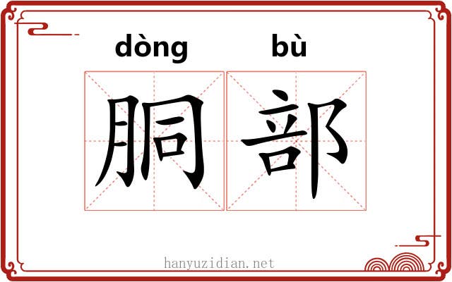 胴部