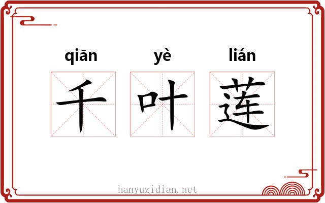 千叶莲 千叶莲