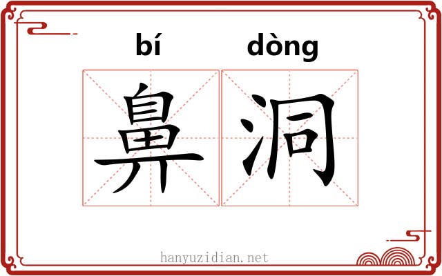鼻洞