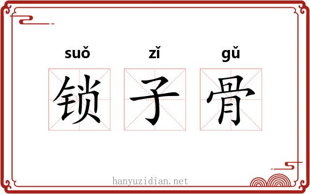 锁子骨 锁子骨